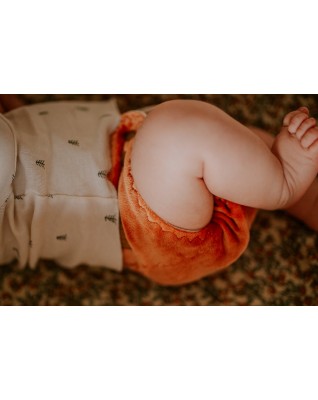 "Teddy Bear" Pocket Fitted Diaper - MOS